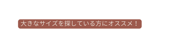 大きなサイズを探している方にオススメ